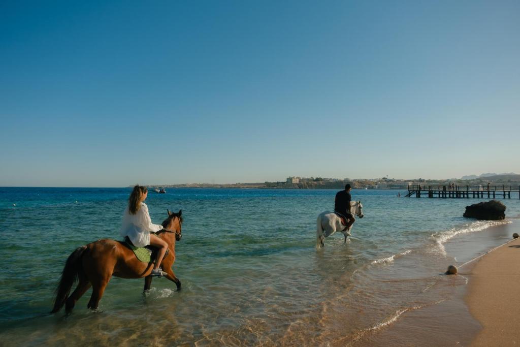 Movenpick Resort